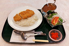 �J�c�n���V���C�X